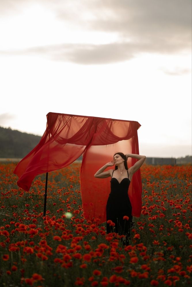 Photograph by Заручевская Надежда