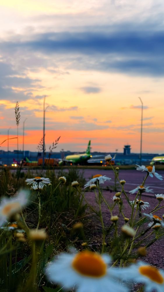 Photograph by Елизавета Синицына