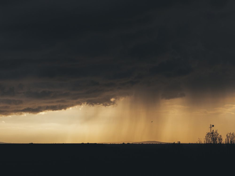 Photograph by Анна Голубцова