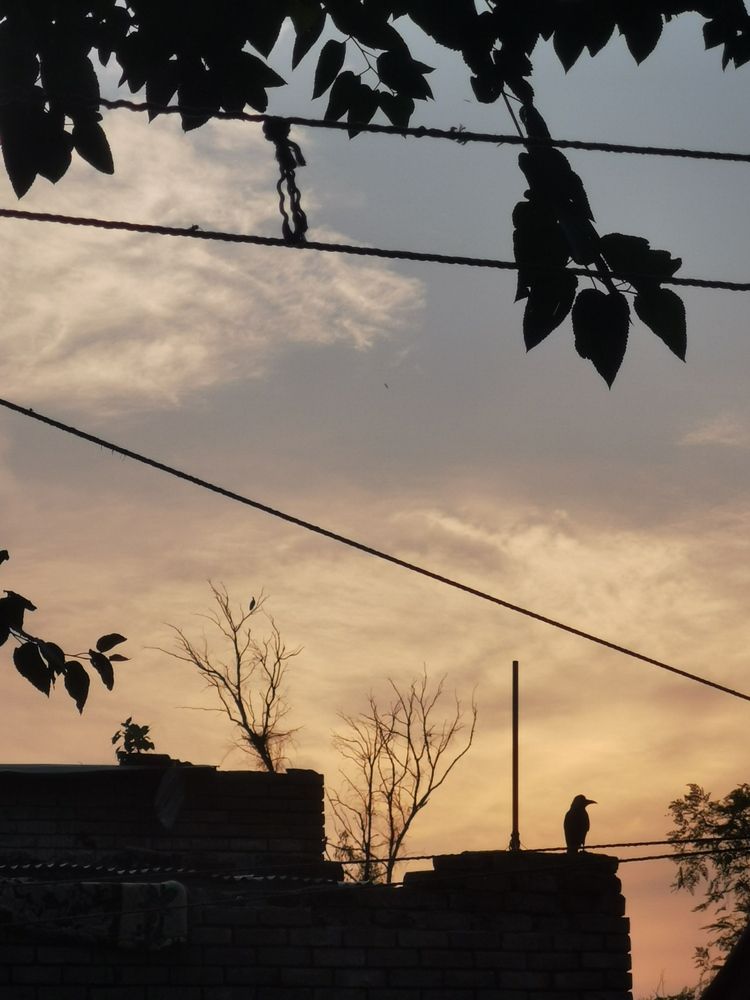 Photograph by Malik Mohsin