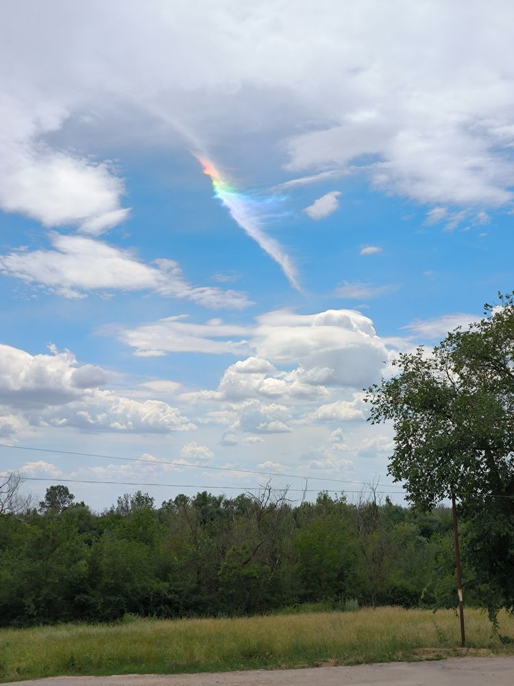 Фотография автора Светлана Войта