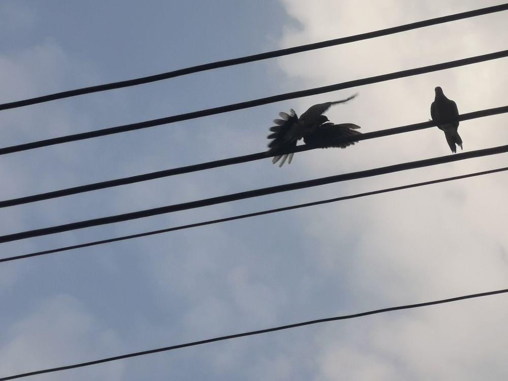 Photograph by Malik Mohsin
