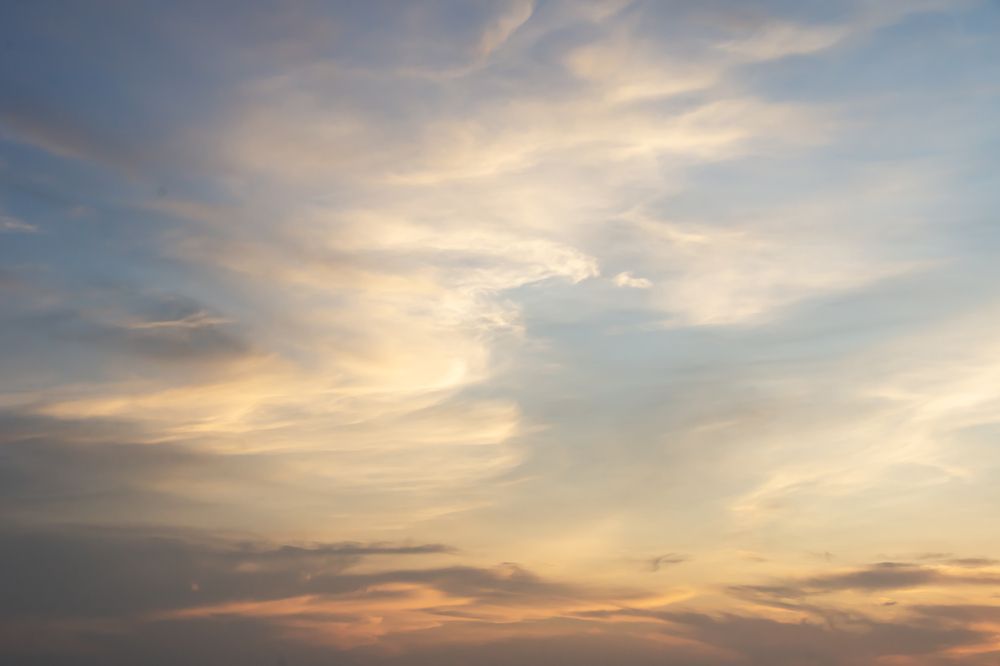 Photo #13760964