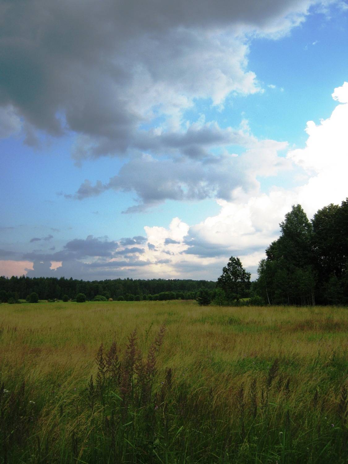 Photo #13760992