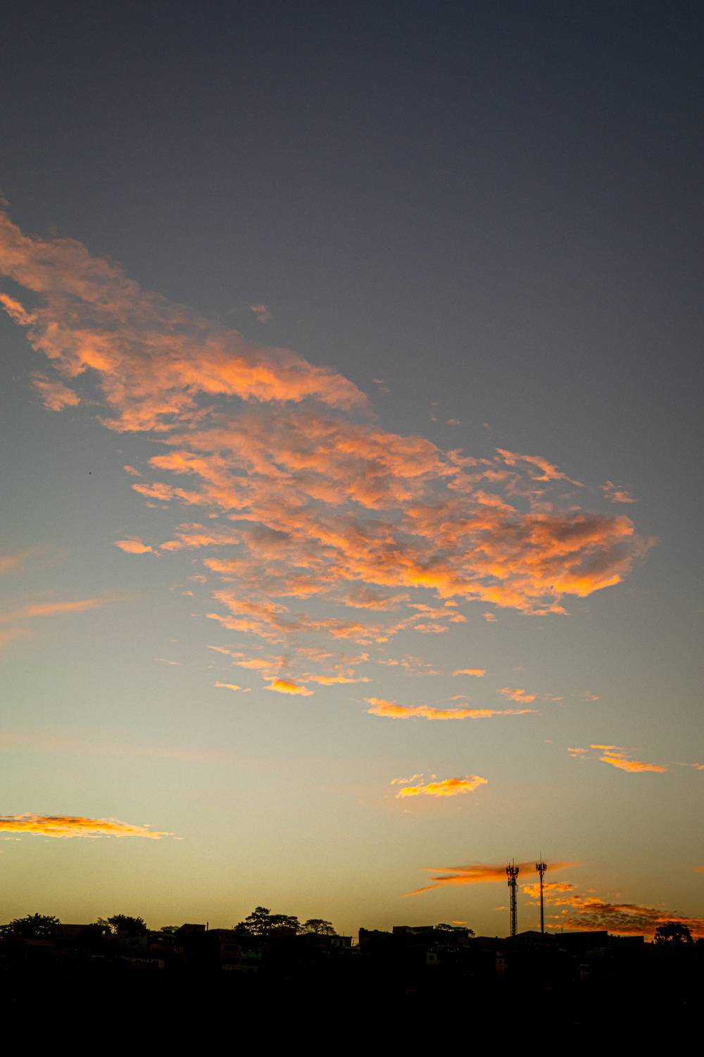 Photo #13761008