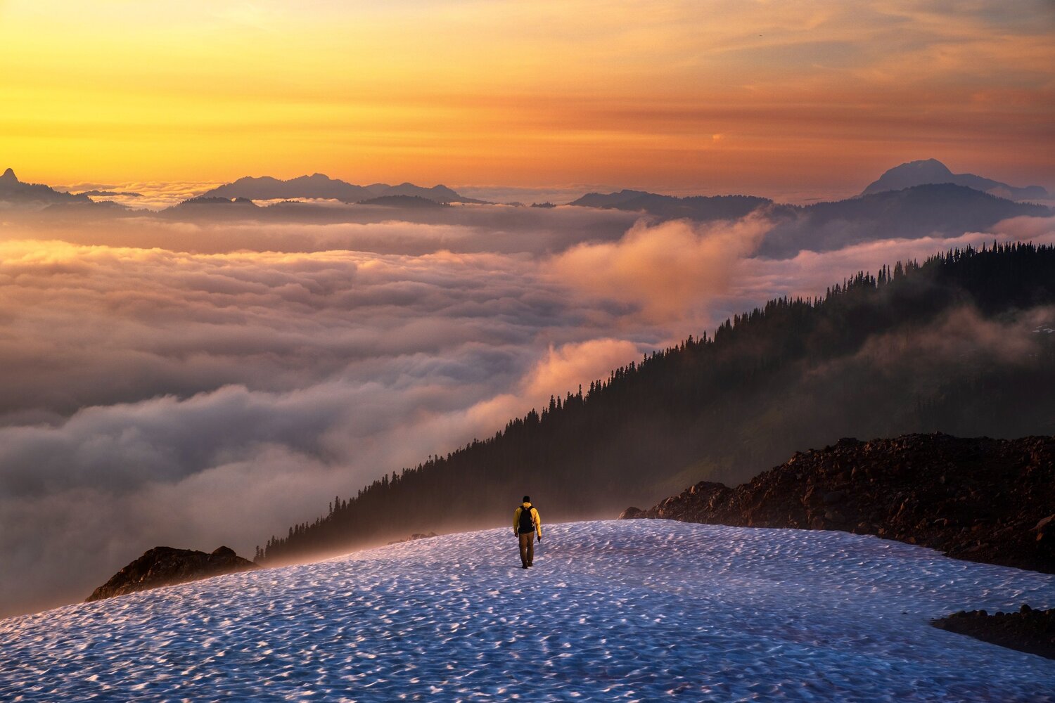 Photo #13761057