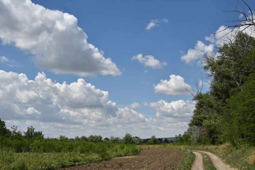 Фотография автора Светлана Войта