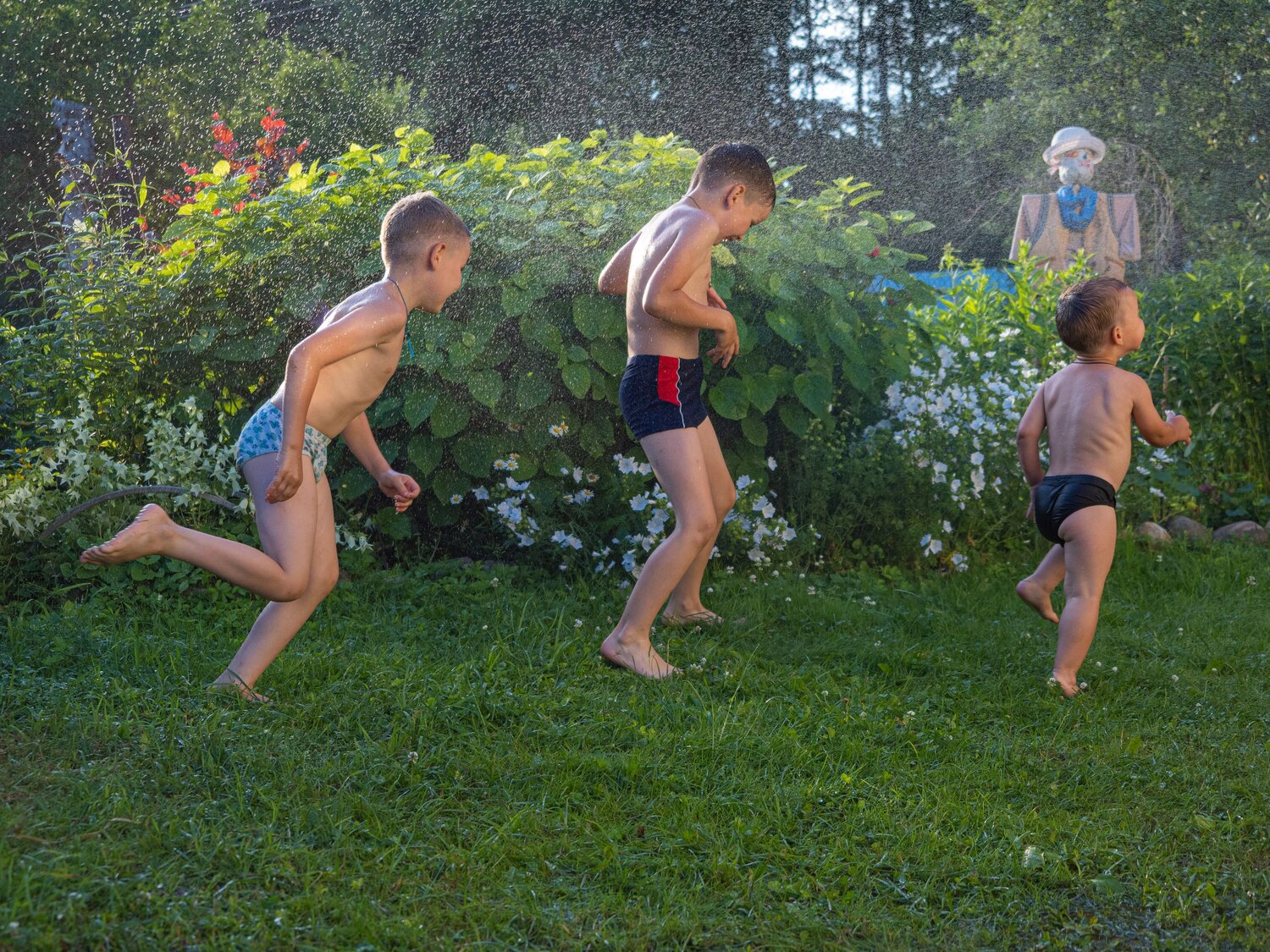 Photo #13761118