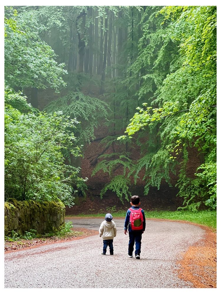 Children Walking in the Foggy Forest of Germany