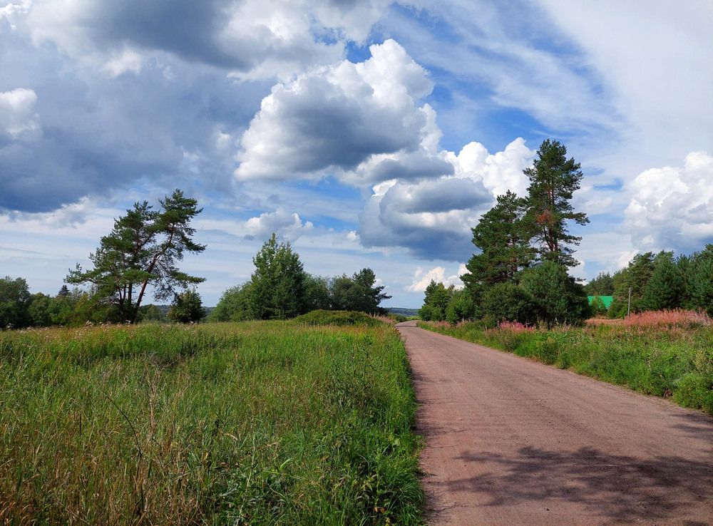 Photograph by Ирина Румянцева