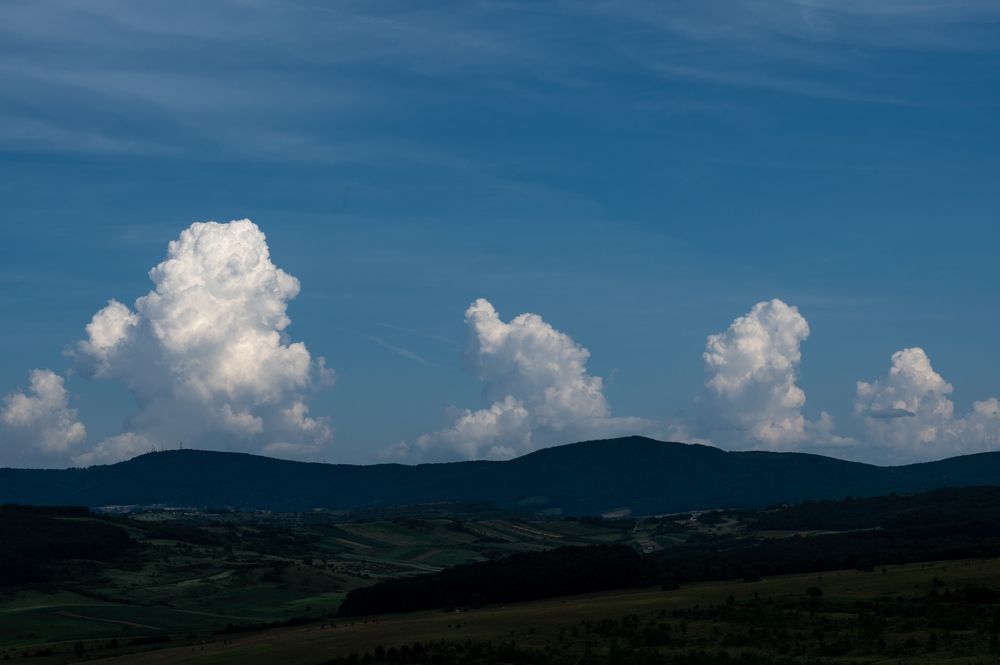 Photograph by Robert Barna
