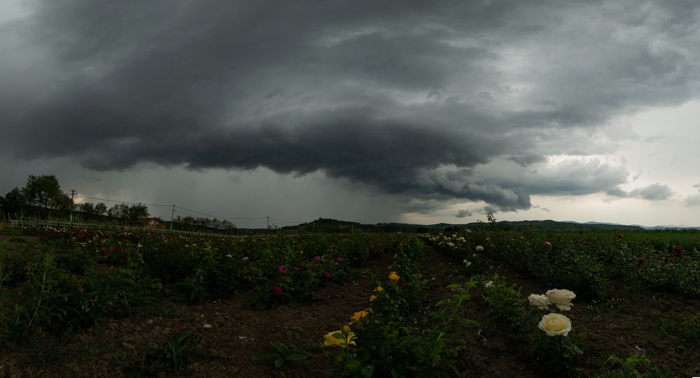 Photograph by Robert Barna