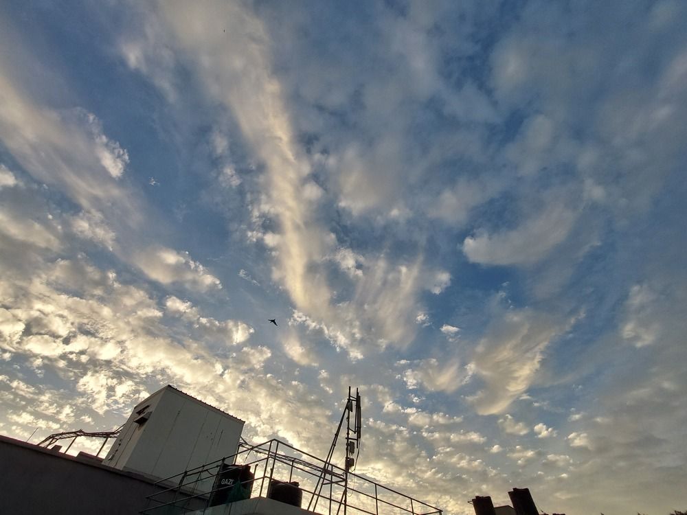 Photograph by Mostafa Shahriar