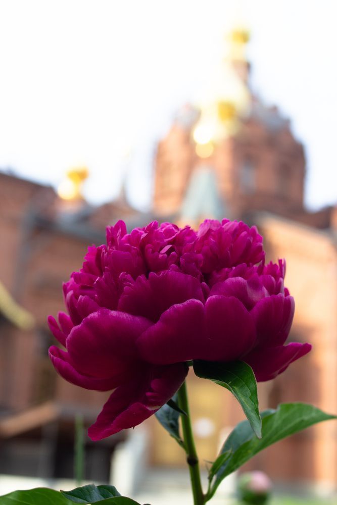 Photograph by Елена Павлова