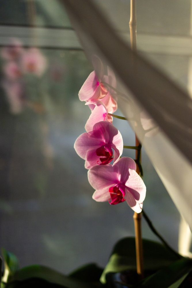 Photograph by Елена Павлова