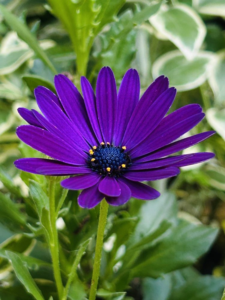 Photograph by Луиза Баширова