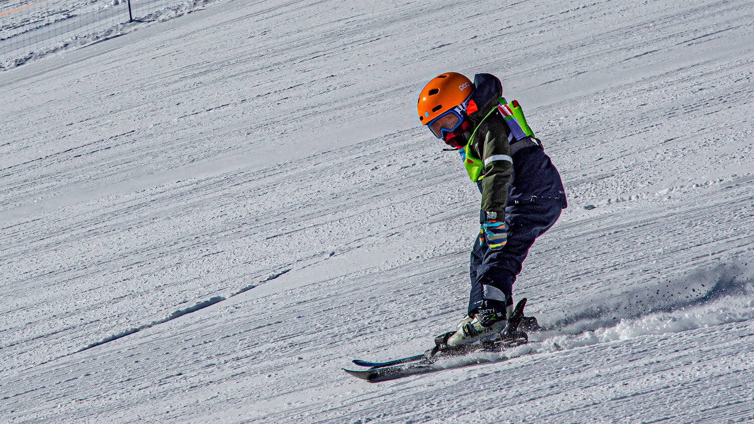 Photo #13761589