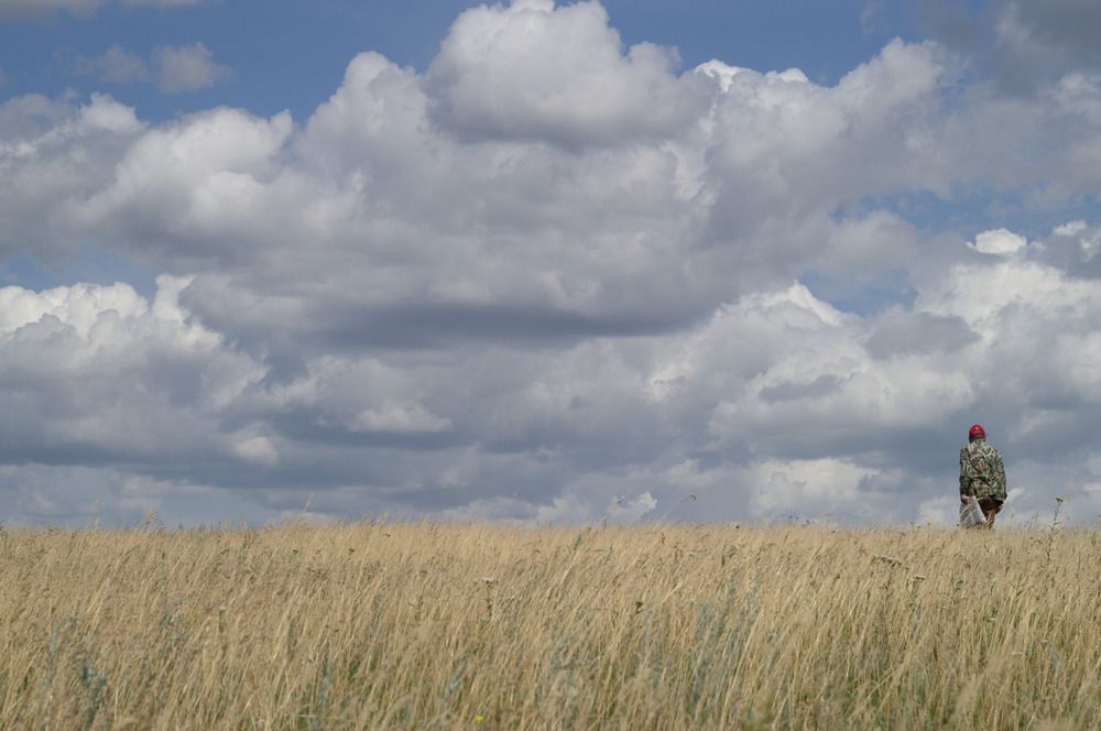 Photograph by Владислав Баранов