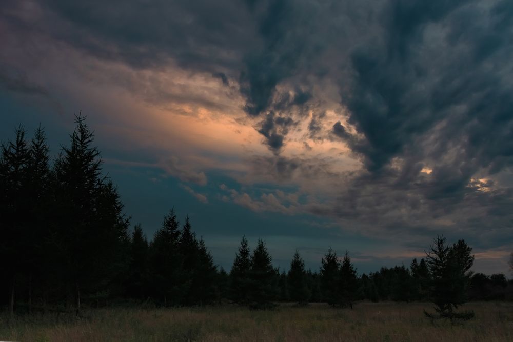 Photograph by Наталия Брянцева