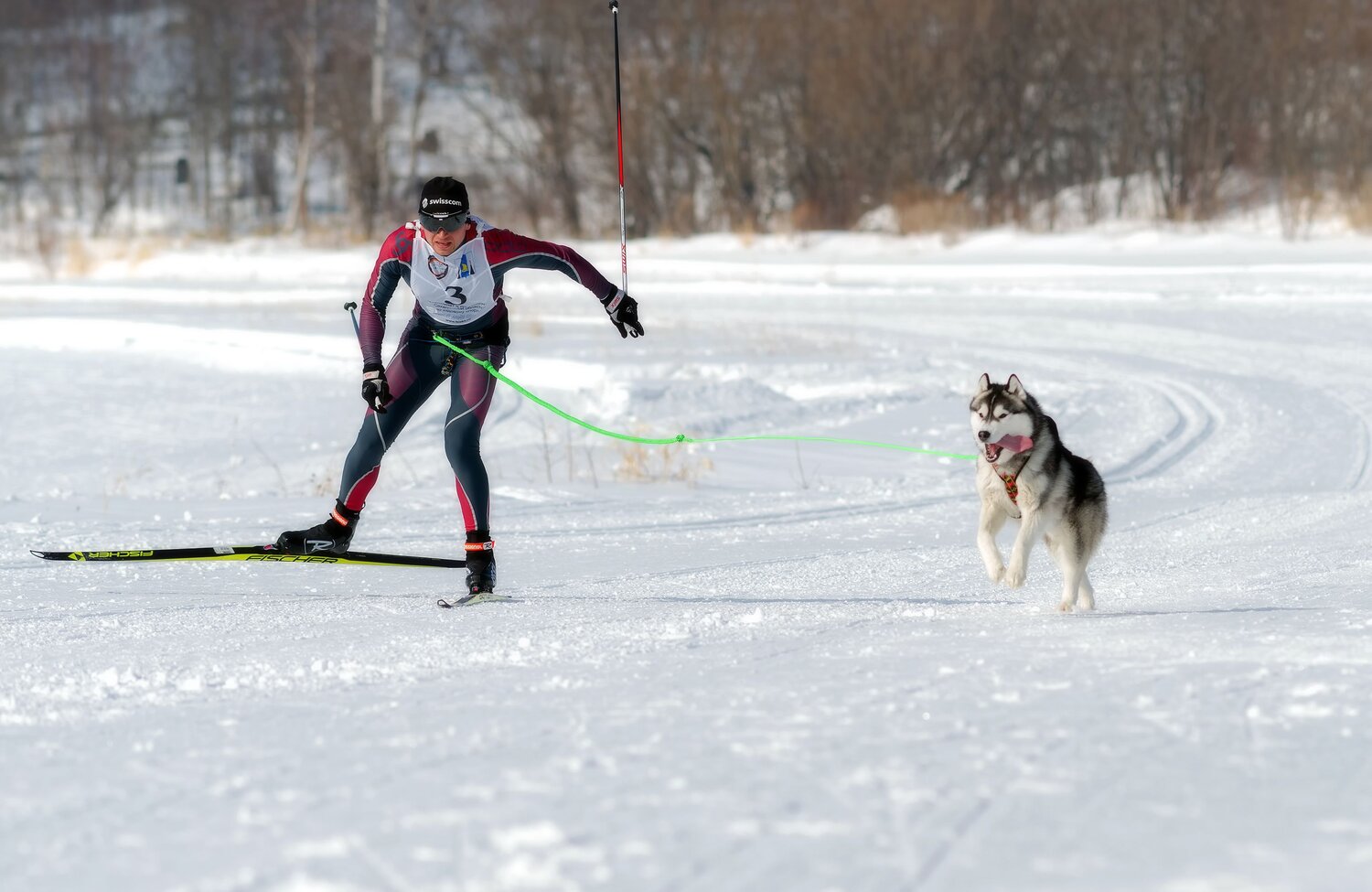 Photo #13761808