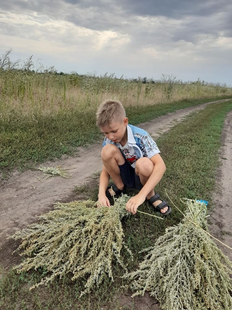 Помощник.