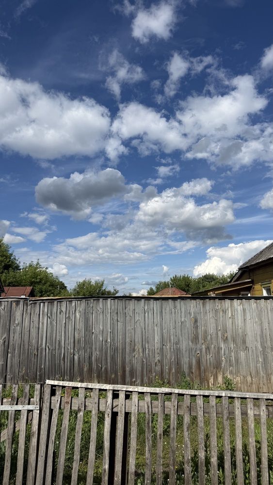 Photograph by Елена Гущина