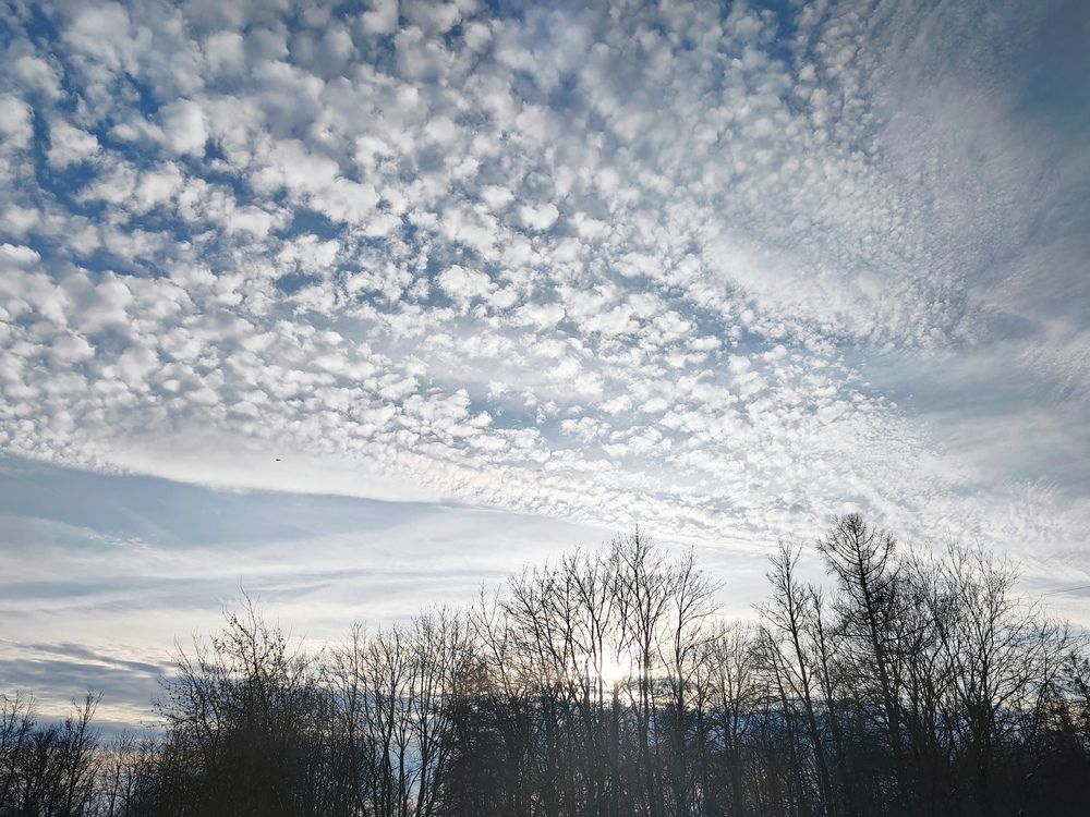 Photograph by Ольга Рыбина