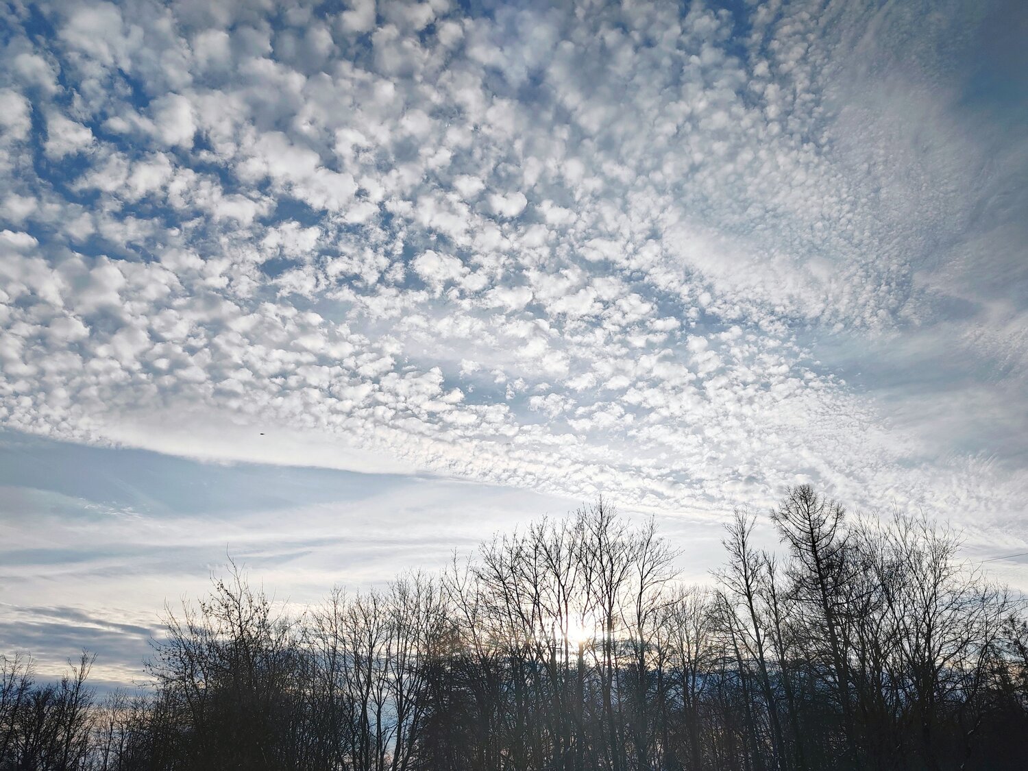 Photo #13762081