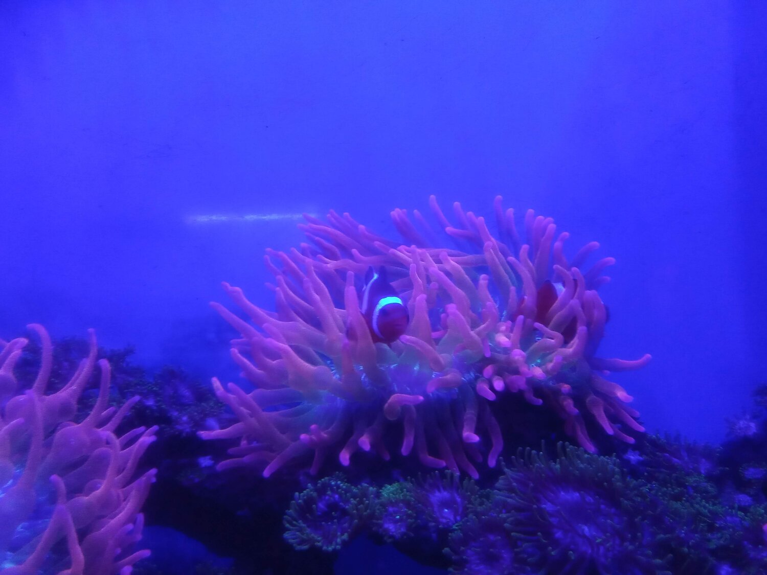 Photo #13762100