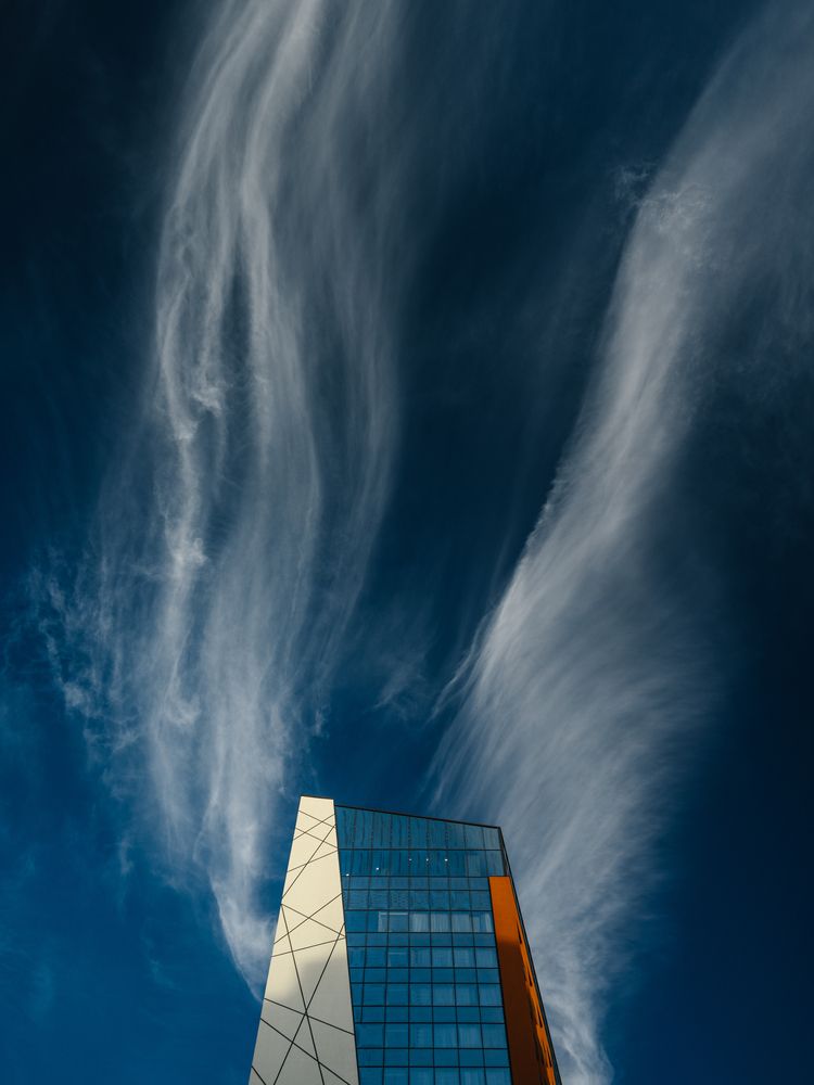 Wings of Opportunity