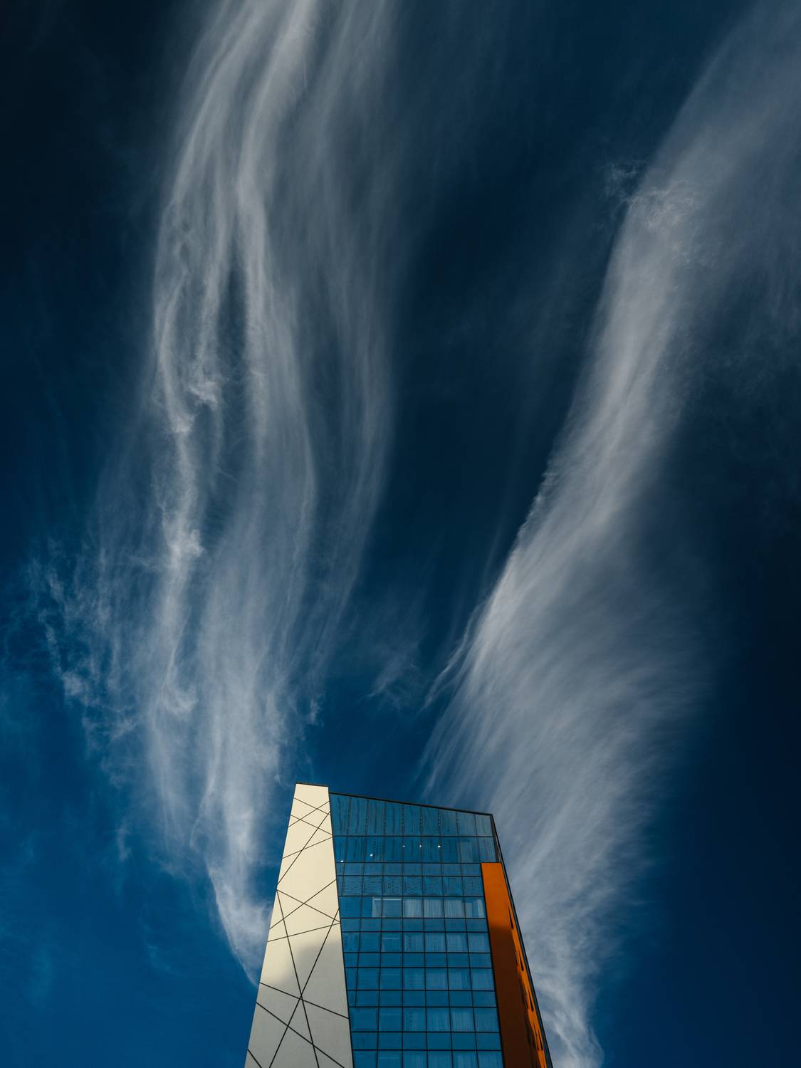 Wings of Opportunity