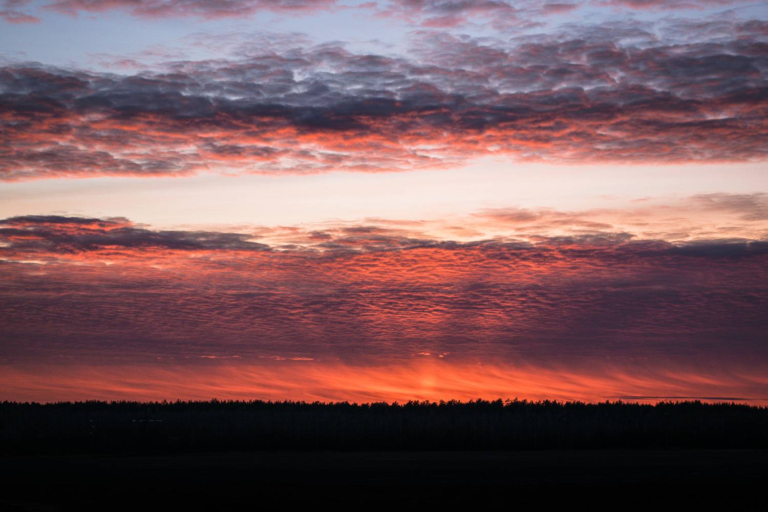 Photo #13762130