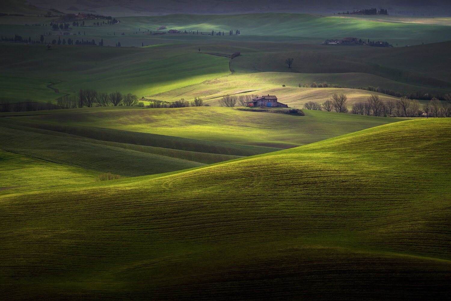 Colpi di luce
