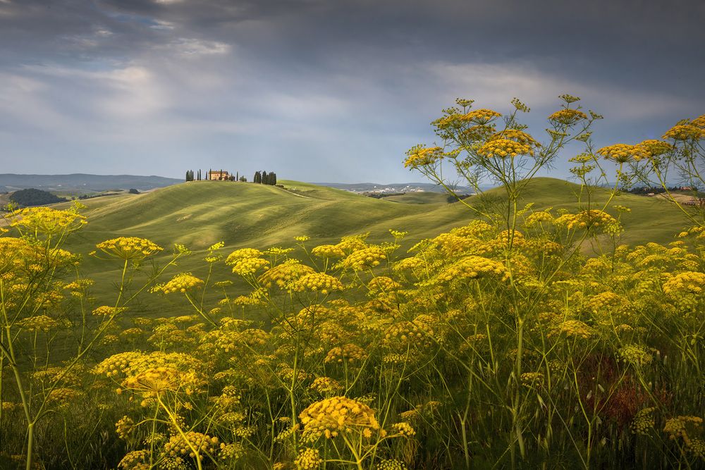 Profumi di primavera