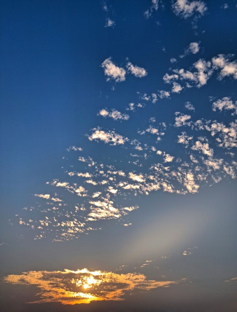 Photograph by Jyotiraditya Roy