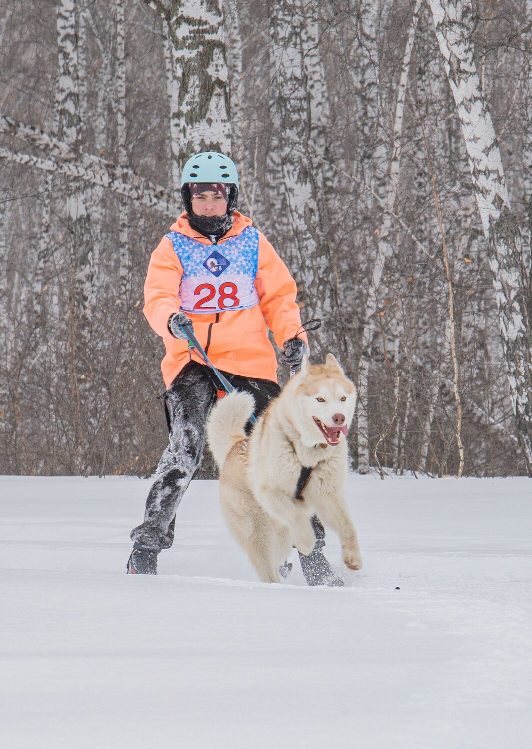Photo #13762250