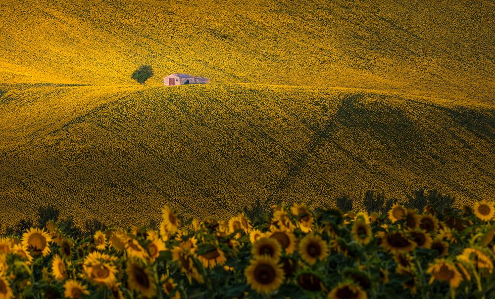 Il primo raggio di luce