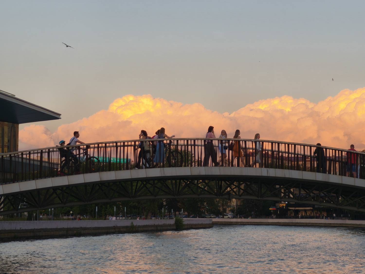 Photo #13762266