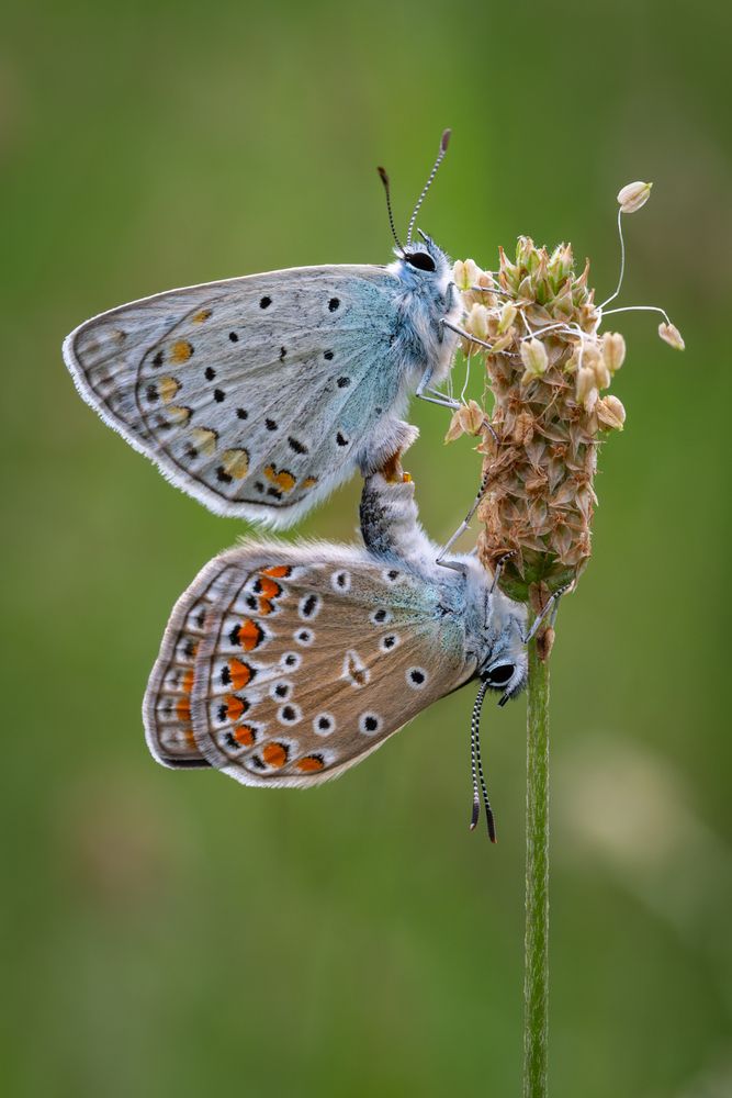 Photograph by BESPAMIATNYI Dmitry