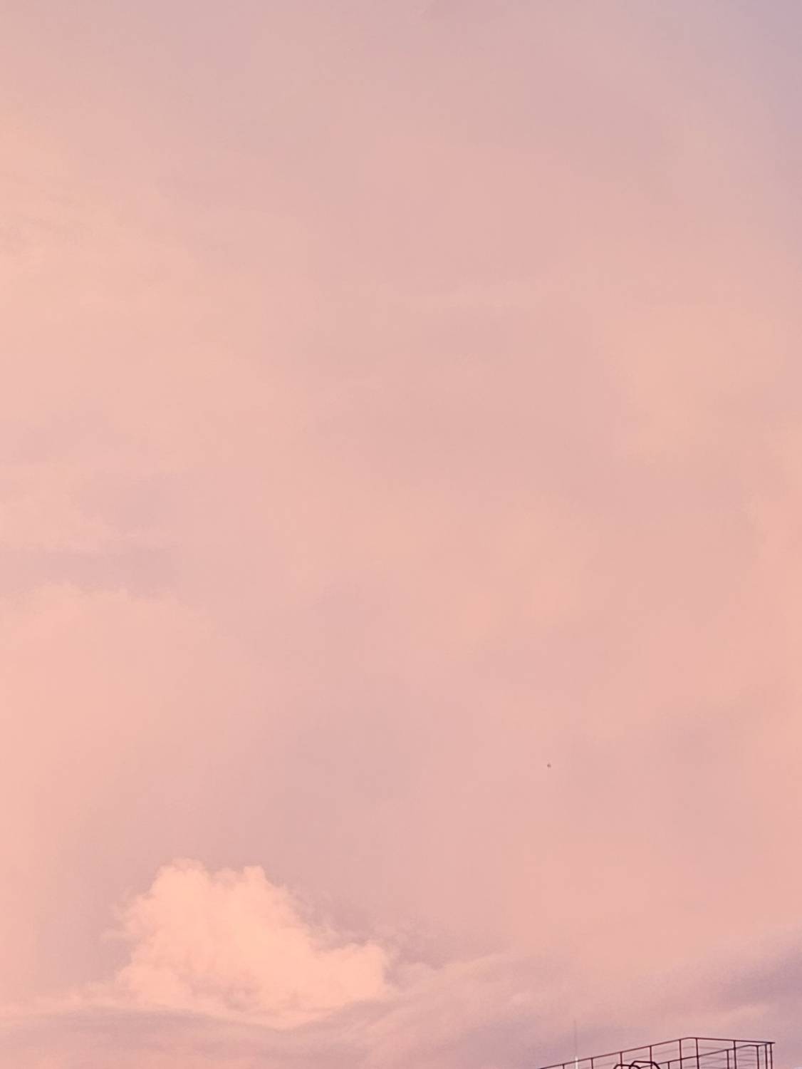 Photo #13762358