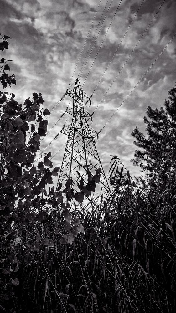 Photograph by mahyar sj
