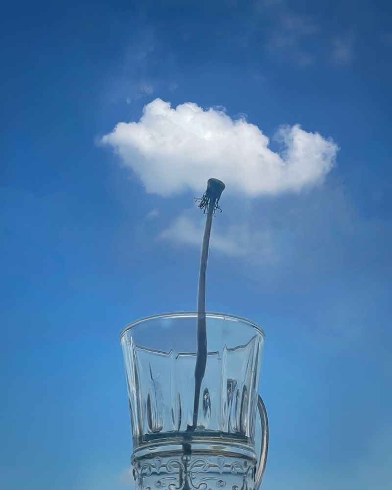 Photograph by Лариса Дёмина