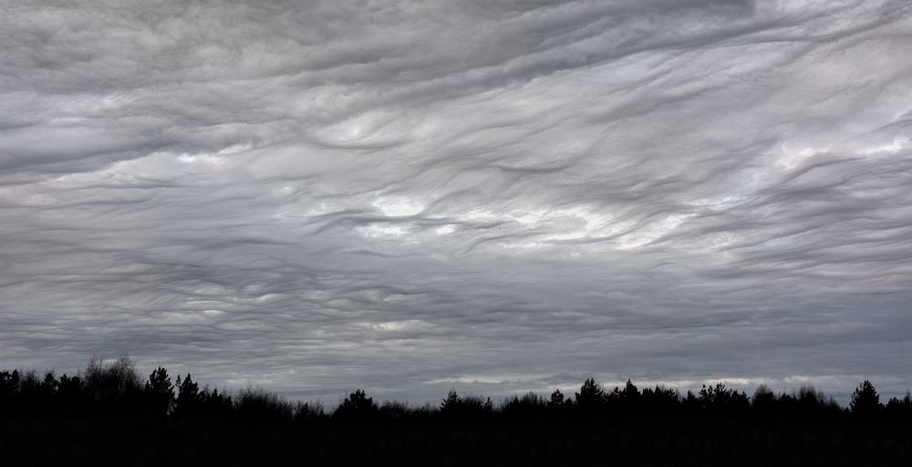 Photograph by Александр Сальников