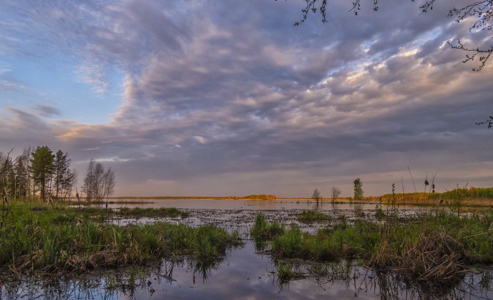 Photograph by Цветков Сергей