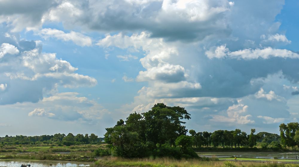 Photograph by Nafis Ibrahim