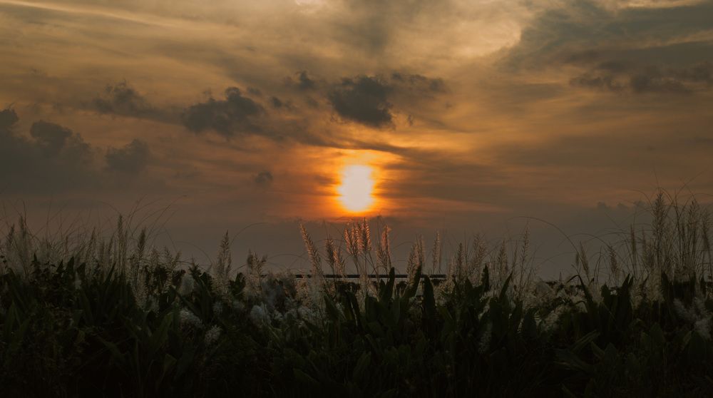 Photograph by Nafis Ibrahim