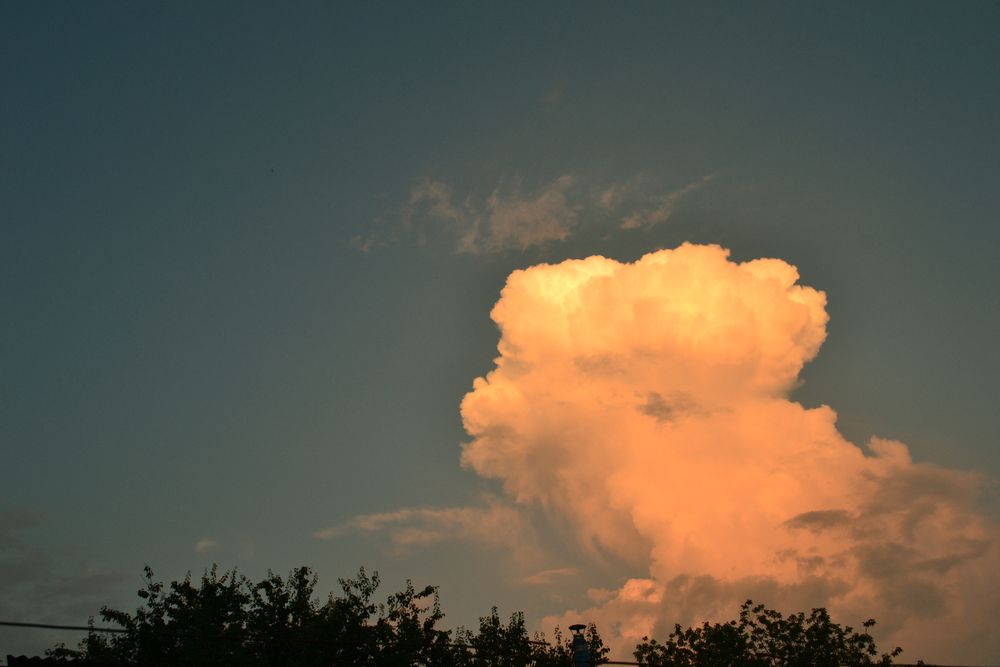 Photograph by Юлия Кононова