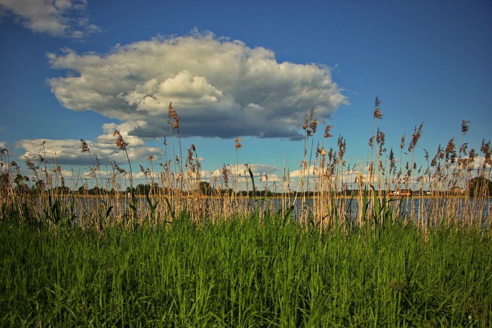 Photograph by Анатолий Борисов