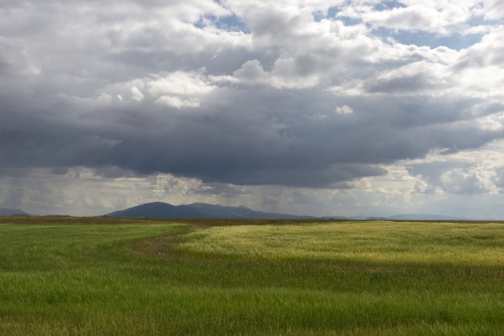Фотография автора Med ouja