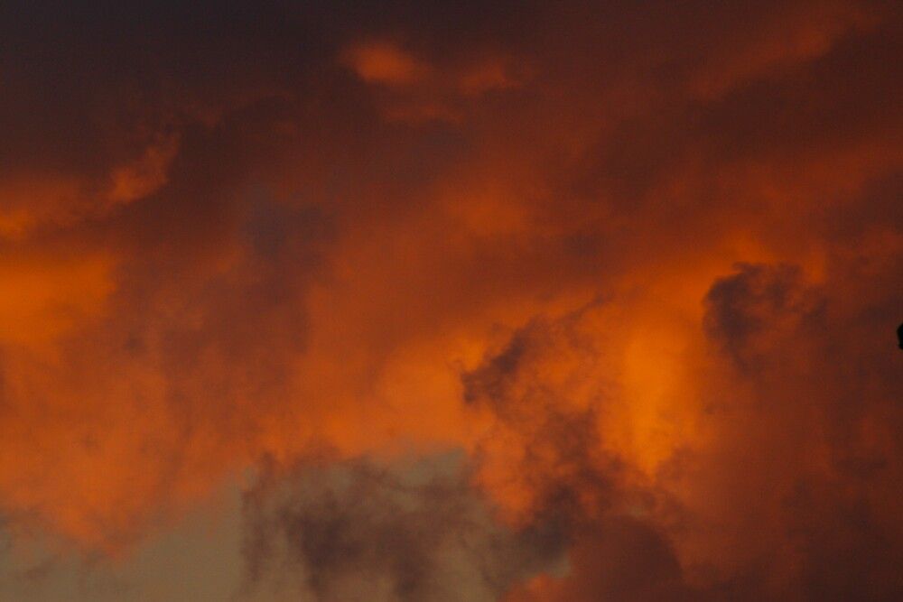 Photograph by Ася Бабушкина